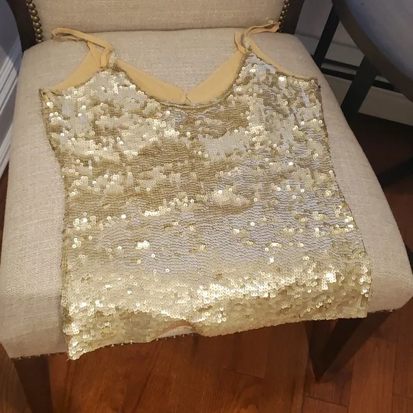 P.A.R.O.S.H. Sequin Top Size Large - Picture 4 of 5